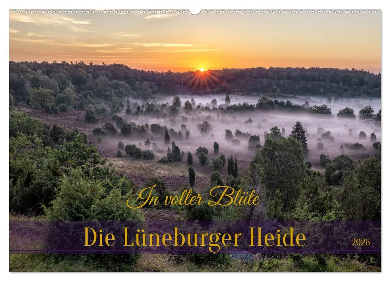Cover: 9783457485620 | Die Lüneburger Heide - In voller Blüte (Wandkalender 2026 DIN A2...